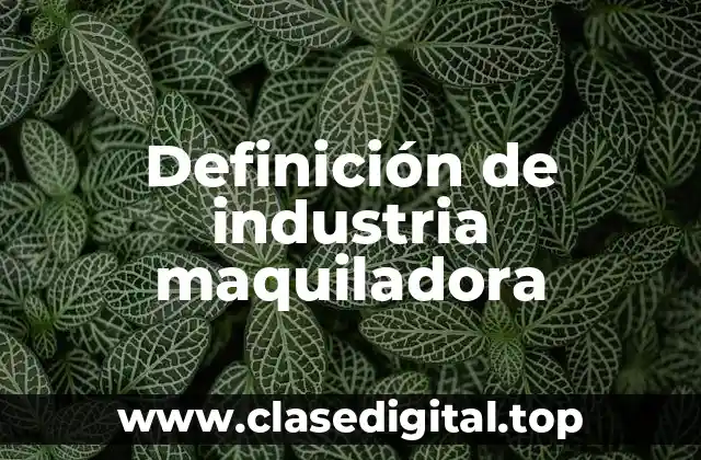 Ejemplos de industria maquiladora