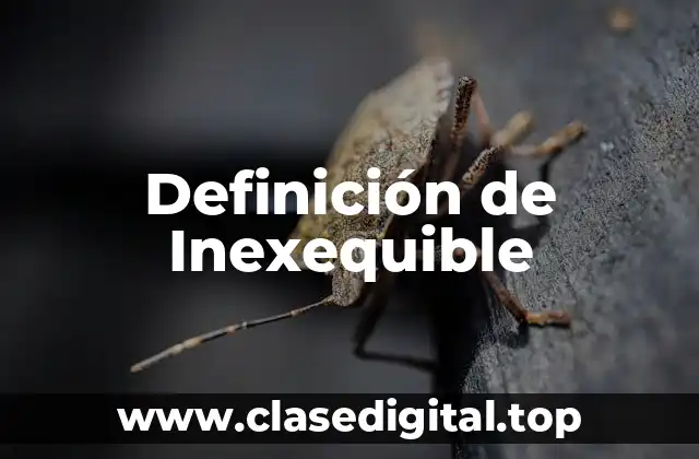 Definición de Inexequible