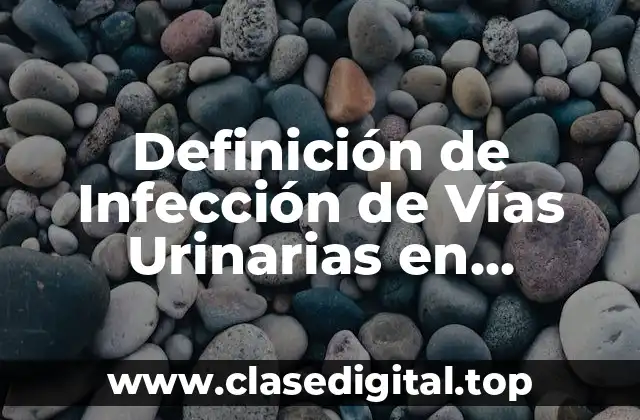 Definición de Infección de Vías Urinarias en Ancianos