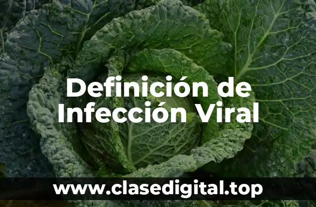 Definición de Infección Viral