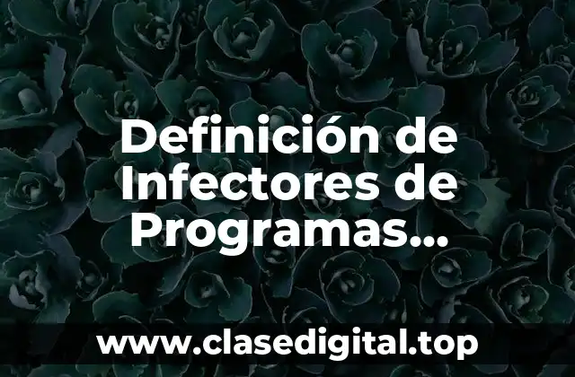 Definición de Infectores de Programas Ejecutables en Informática