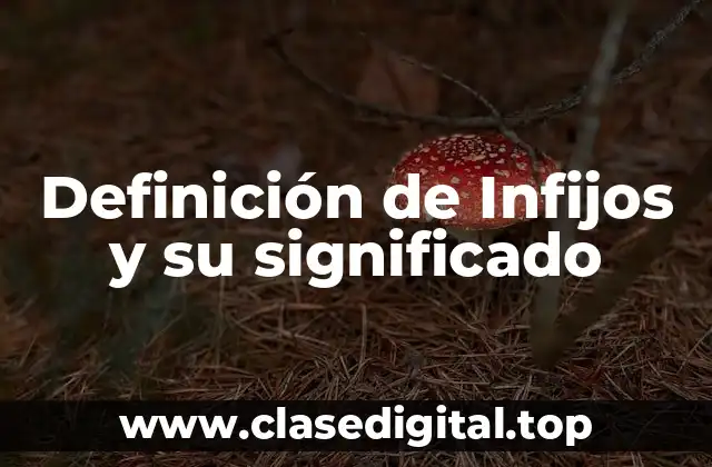 Definición de Infijos y su significado