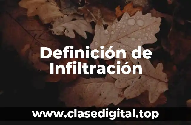 Definición de Infiltración