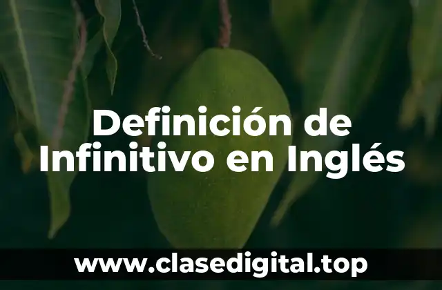 Definición Técnica de Infinitivo en Inglés