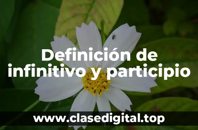 Definición de infinitivo y participio