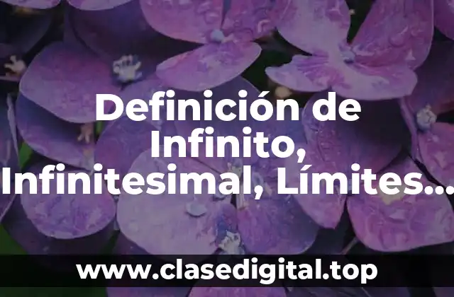 Definición de Infinito, Infinitesimal, Límites y Cálculo Diferencial