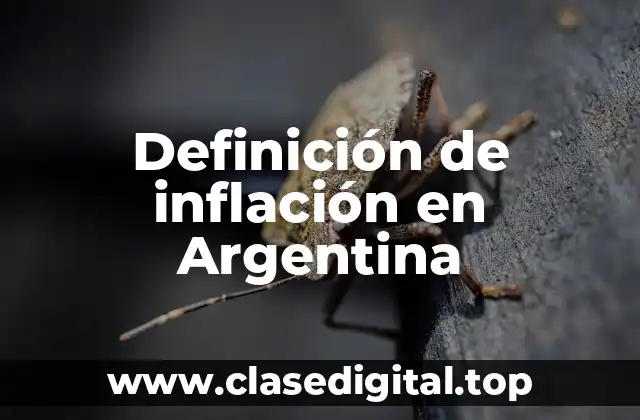 Definición de inflación en Argentina