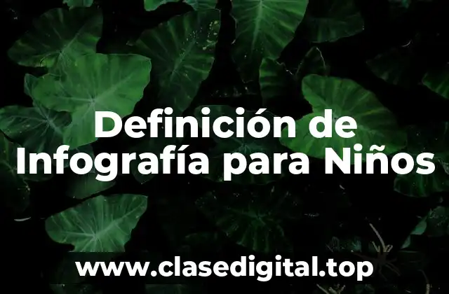Definición técnica de Infografía