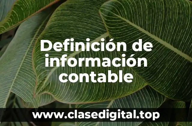 Ejemplos de información contable