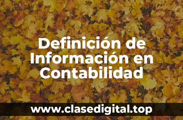 Definición de Información en Contabilidad