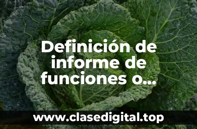 Ejemplos de informe de funciones o actividades y tareas