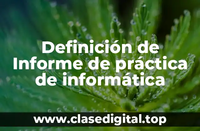 Ejemplos de informes de práctica de informática
