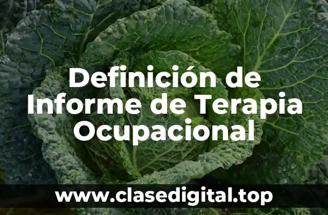 Definición de Informe de Terapia Ocupacional