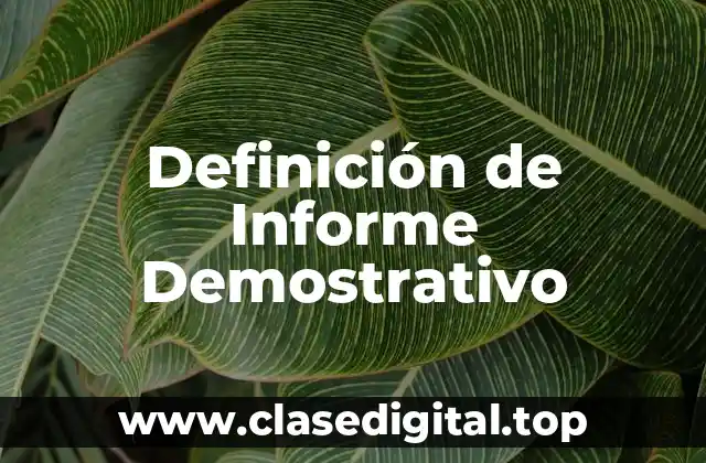 Definición de Informe Demostrativo