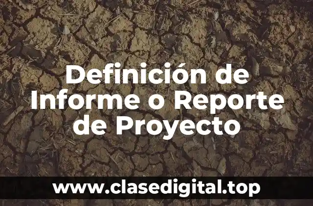 Definición de Informe o Reporte de Proyecto