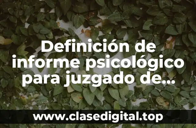 Definición de informe psicológico para juzgado de familia Chile