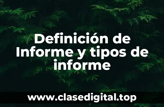 Definición técnica de informe