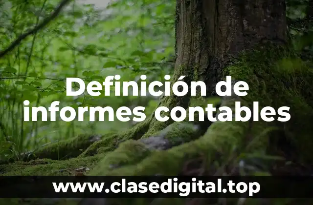 Definición de informes contables