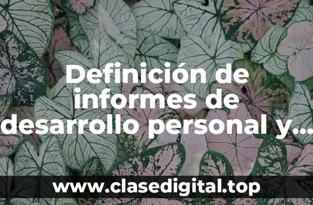 Definición de informes de desarrollo personal y social