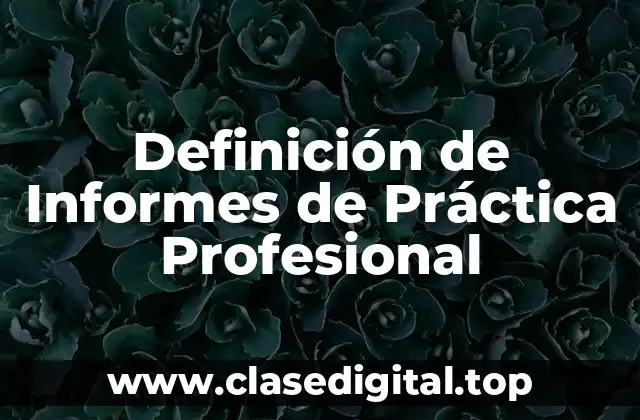 Definición de Informes de Práctica Profesional