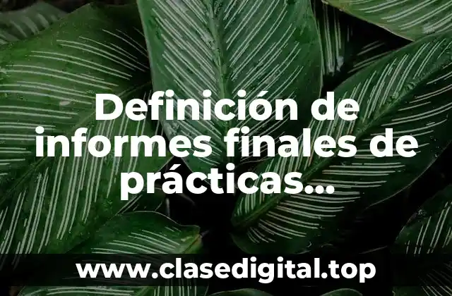 Definición de informes finales de prácticas profesionales de manuales Catarina
