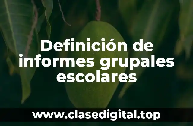 Ejemplos de informes grupales escolares