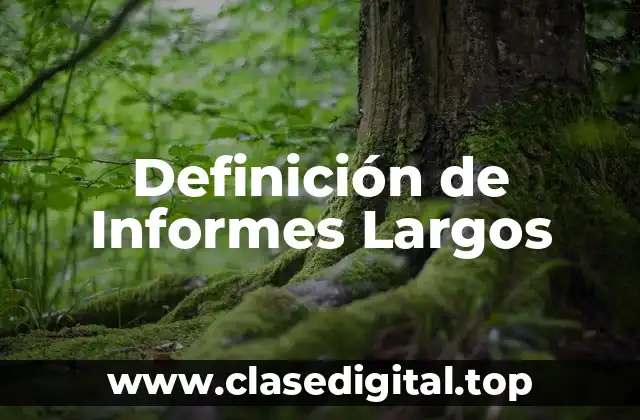 Definición de Informes Largos