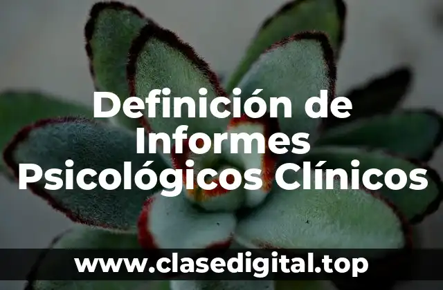 Definición de Informes Psicológicos Clínicos