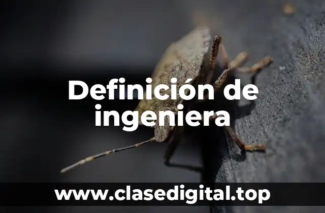 Definición de ingeniera