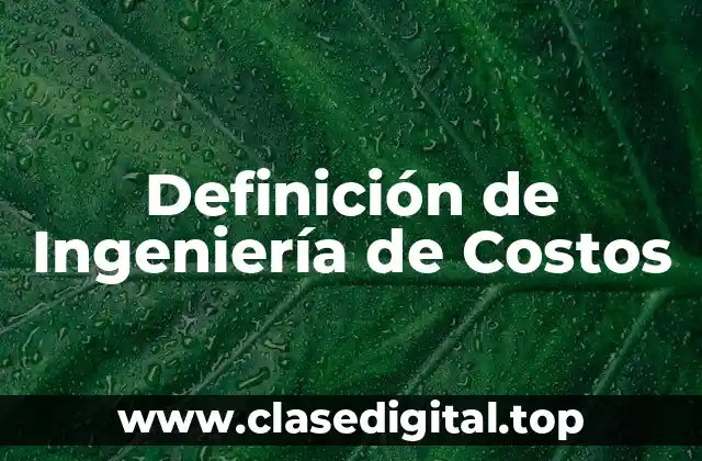 Definición técnica de Ingeniería de Costos