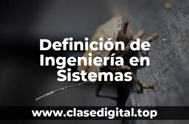 Definición de Ingeniería en Sistemas