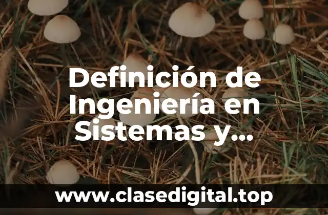 Definición de Ingeniería en Sistemas y Computación