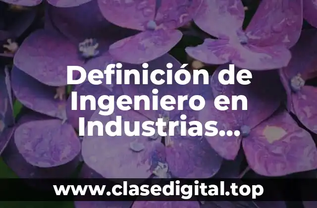Definición de Ingeniero en Industrias Alimentarias