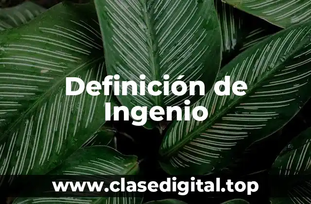 Definición de Ingenio