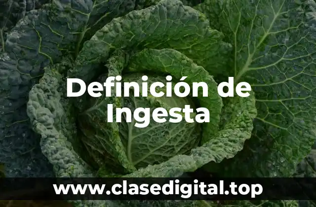 Definición de Ingesta