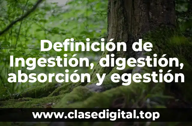 Definición de Ingestión, digestión, absorción y egestión