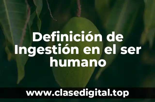 Definición técnica de ingestión