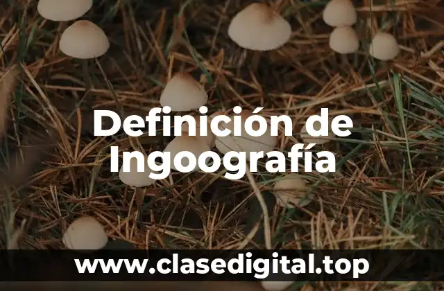 Definición de Ingoografía