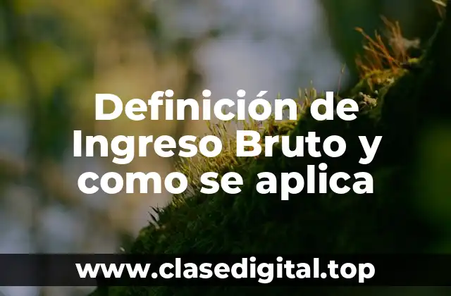 Definición de Ingreso Bruto y como se aplica