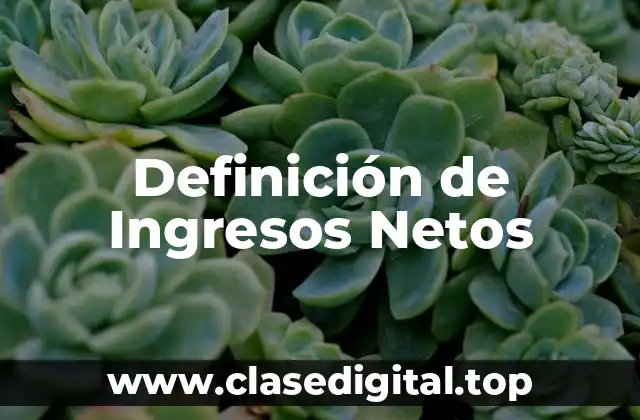 Definición de Ingresos Netos