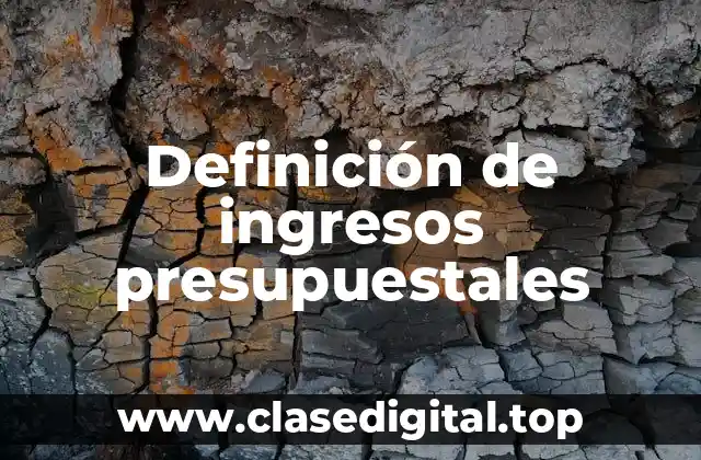 Definición técnica de ingresos presupuestales