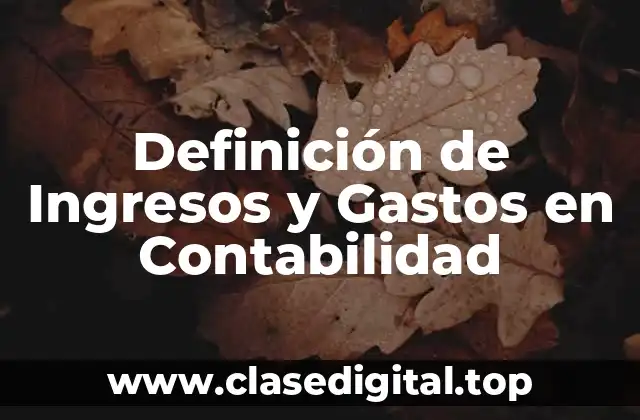 Definición de Ingresos y Gastos en Contabilidad