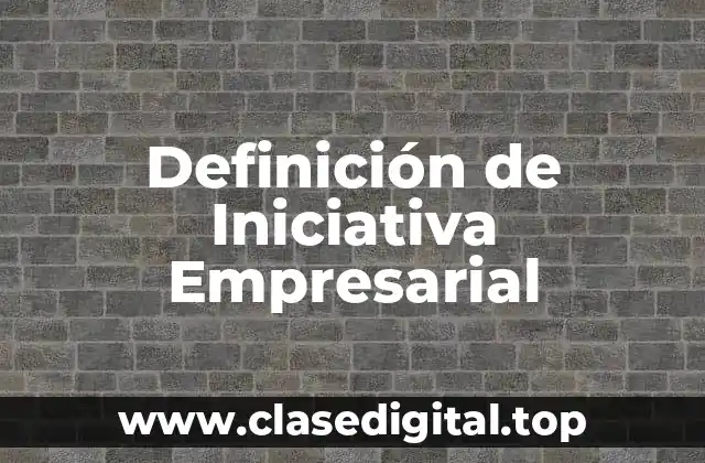 Definición de Iniciativa Empresarial