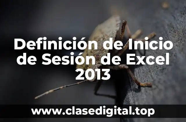 Definición de Inicio de Sesión de Excel 2013