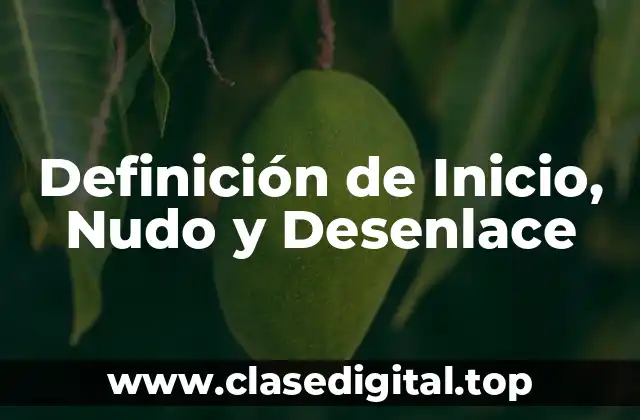 Definición de Inicio, Nudo y Desenlace