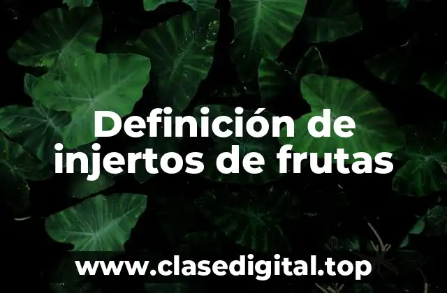 Definición de injertos de frutas