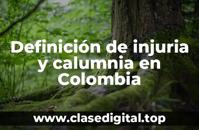 Ejemplos de injuria y calumnia