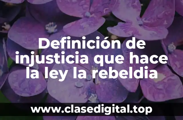 Ejemplos de injusticia que hace la ley la rebeldia