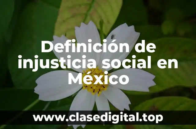Definición de injusticia social en México