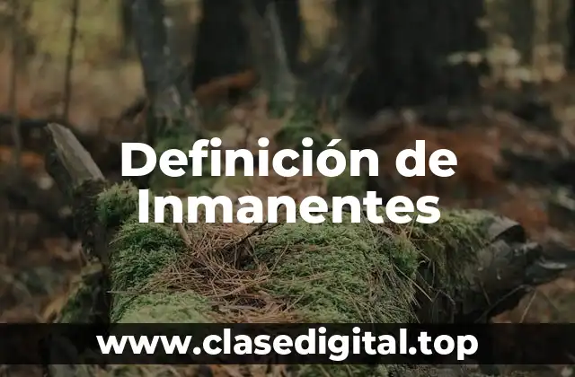 Definición de Inmanentes